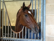 AK021025-101 - Believitanducan